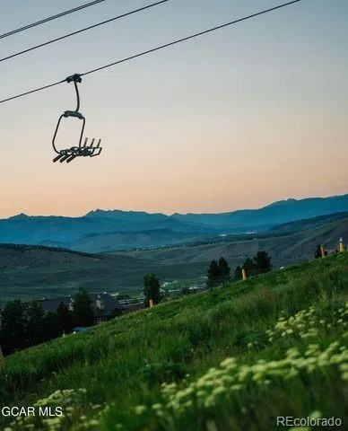 a view of a bunch of trees and bushes