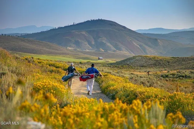 a view of a backyard with plants and a patio