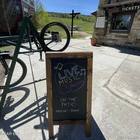 a view of a garden with plants