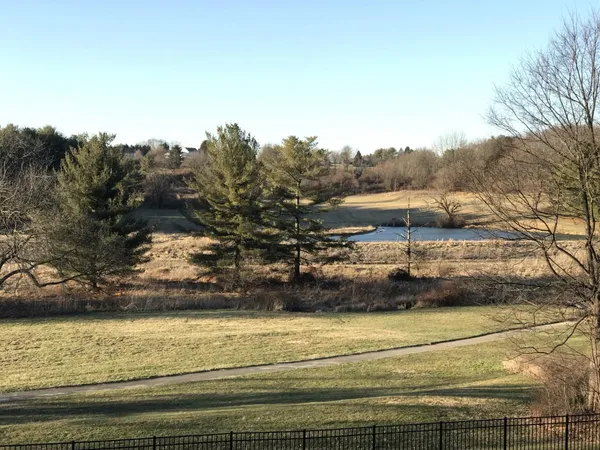 a view of a yard and mountain