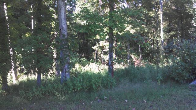 3838 Flewellyn Road Springfield, TN 37172 - Photo 2 of 2