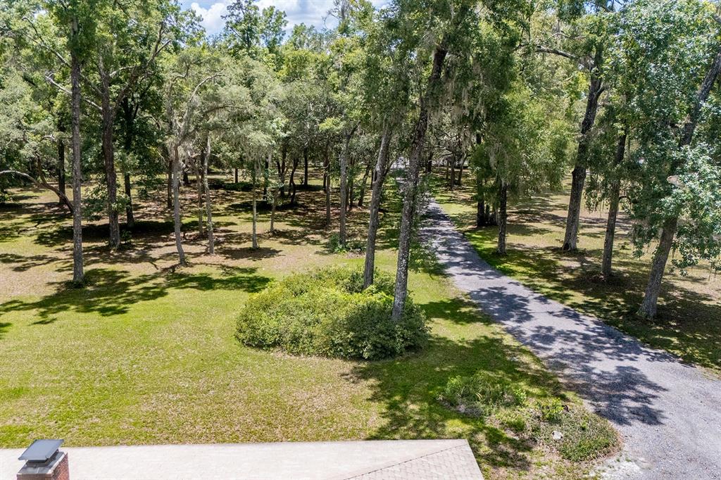 8991 Northwest 115th Street Chiefland, FL 32626 - Photo 18 of 49 a view of yard