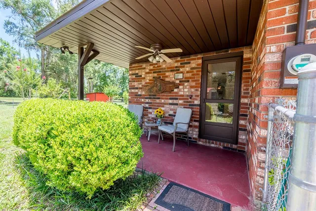 a view of a park with large trees