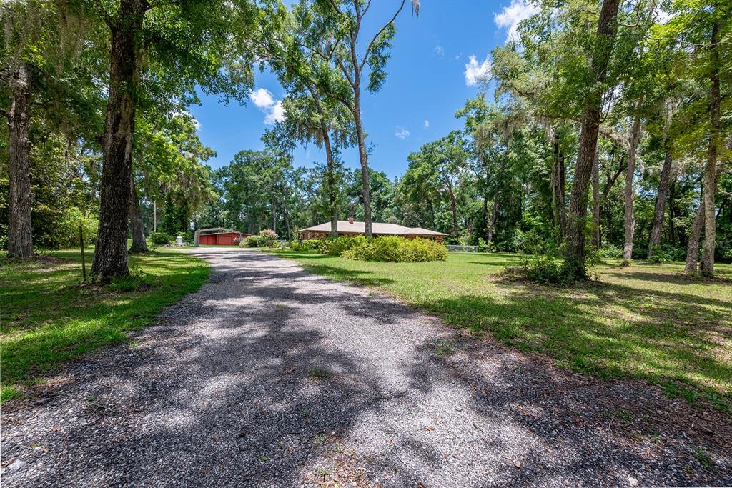 8991 Northwest 115th Street Chiefland, FL 32626 - Photo 8 of 49 a view of a park with large trees