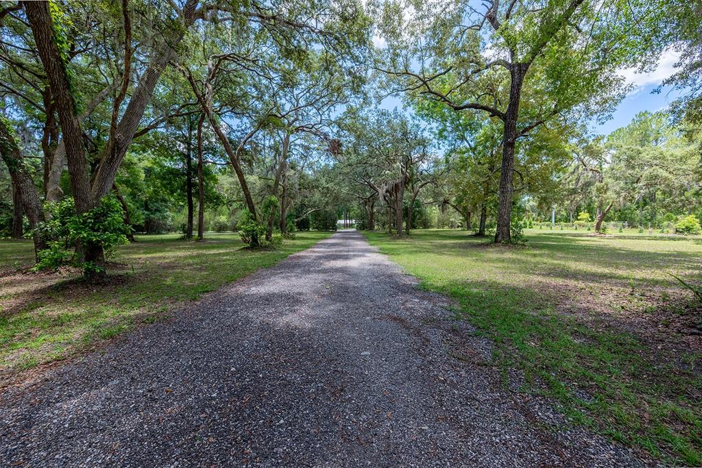 8991 Northwest 115th Street Chiefland, FL 32626 - Photo 9 of 49 a view of a park with large trees