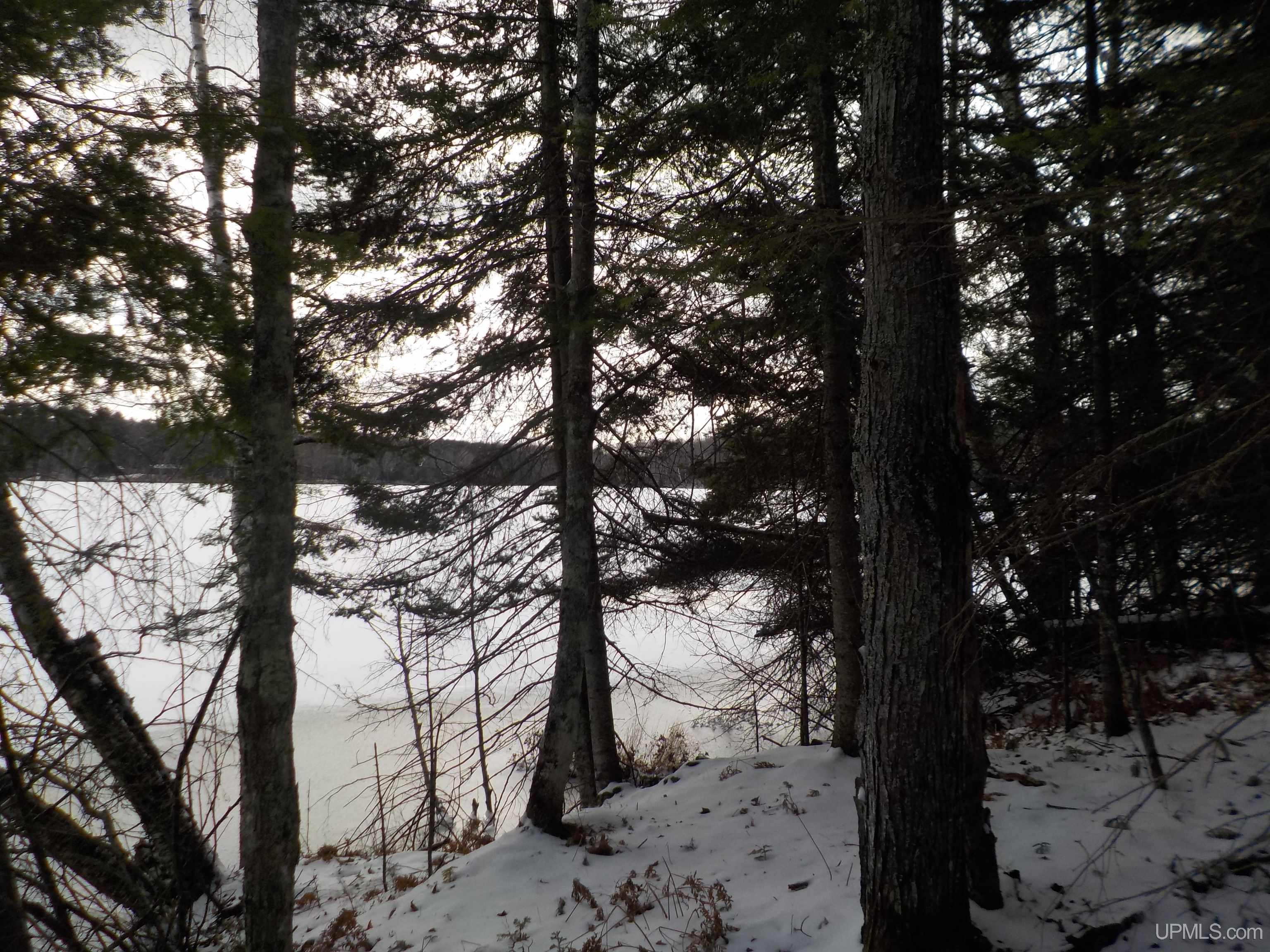 1.52-ac Bates-Amasa Road Crystal Falls, MI 49920 - Photo 6 of 28 Gallery Image 6