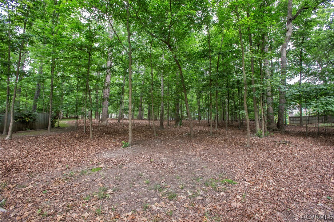 13639 Solstice Cl Midlothian, VA 23113 - Photo 42 of 46 a view of a backyard with trees