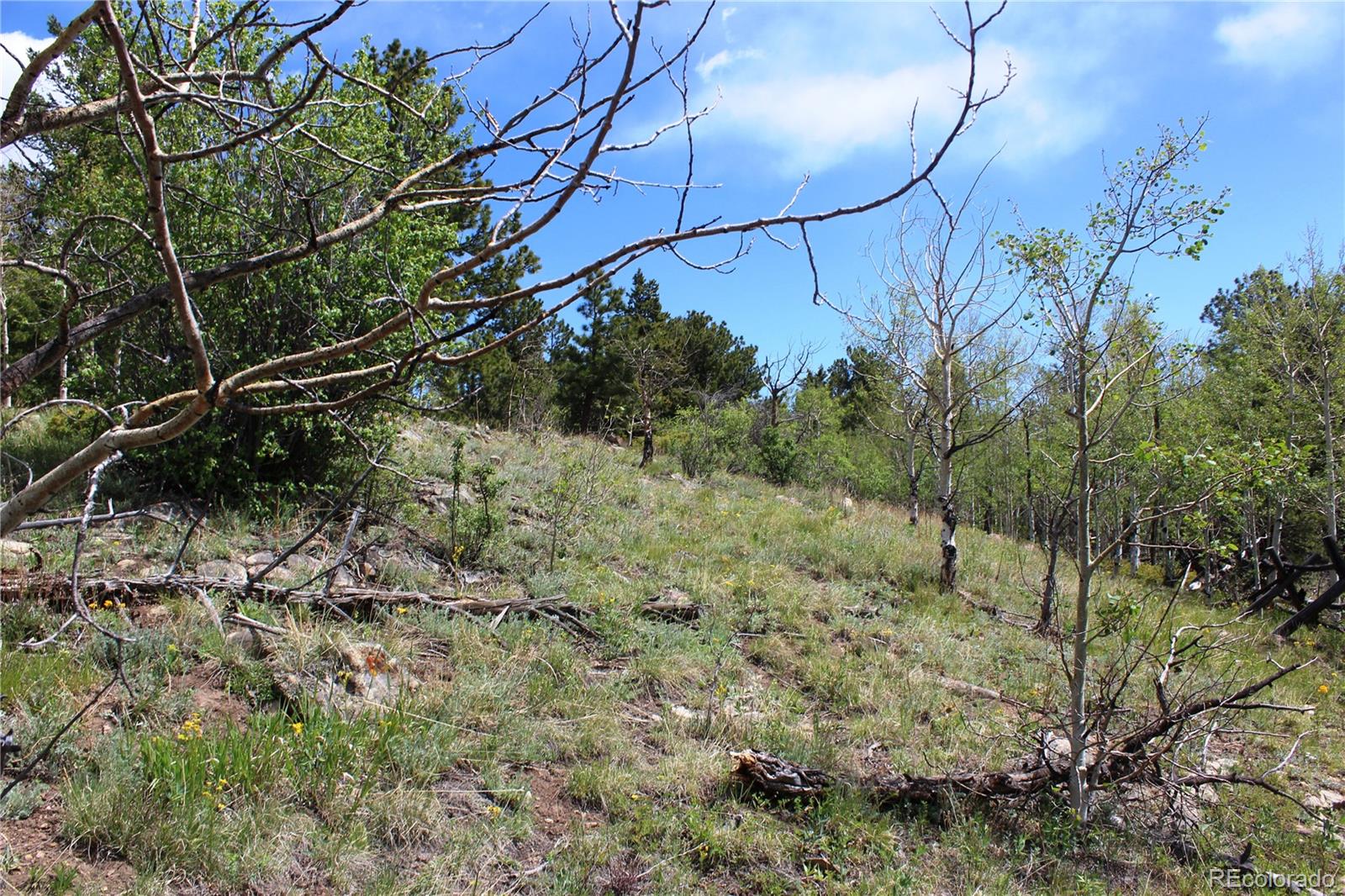 0 Quartz Hill Road Central City, CO 80427 - Photo 12 of 30