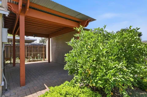 a front view of a house with a yard and trees