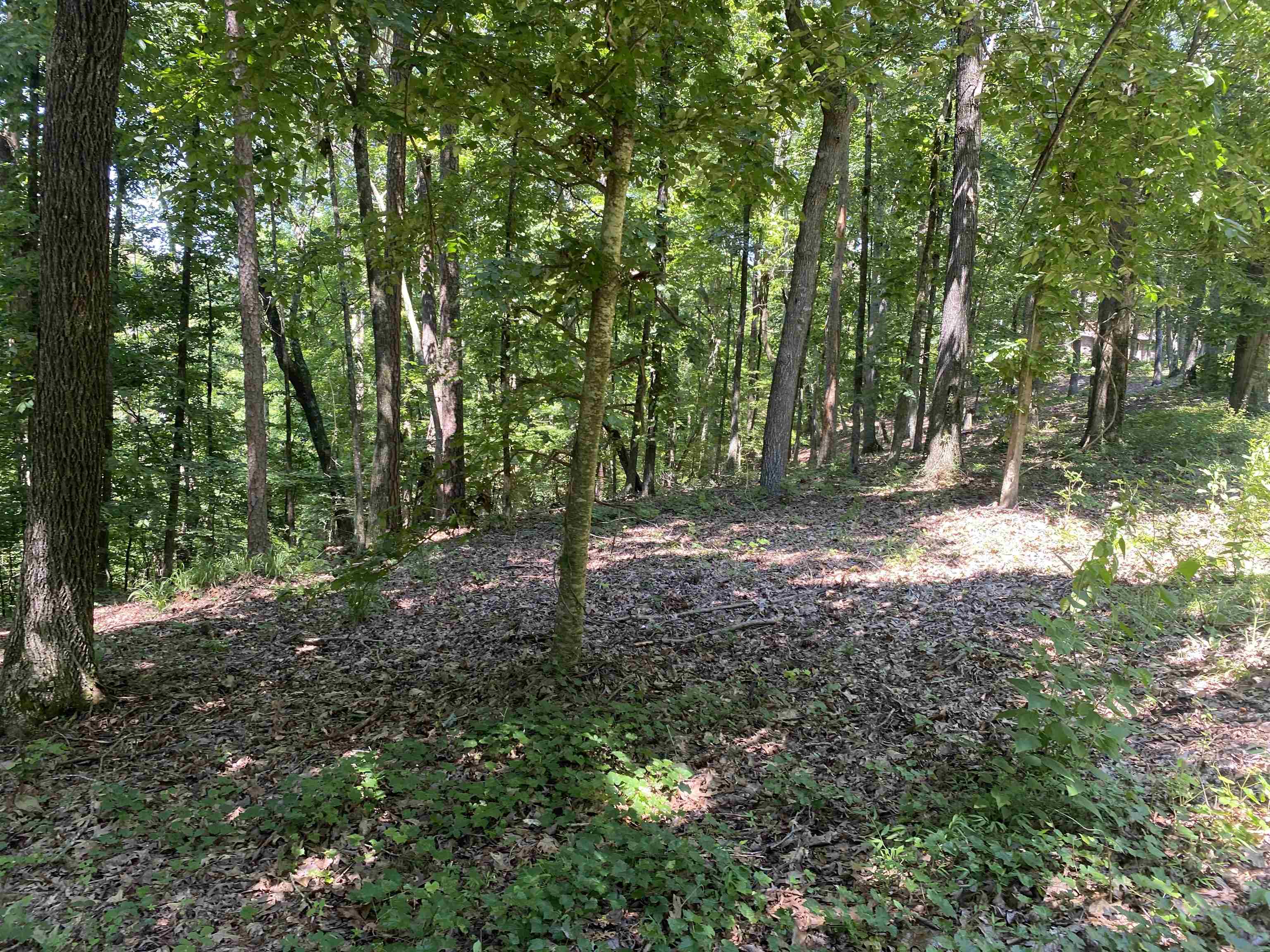 44 Breathtaking Loop Savannah, TN 38372 - Photo 13 of 21