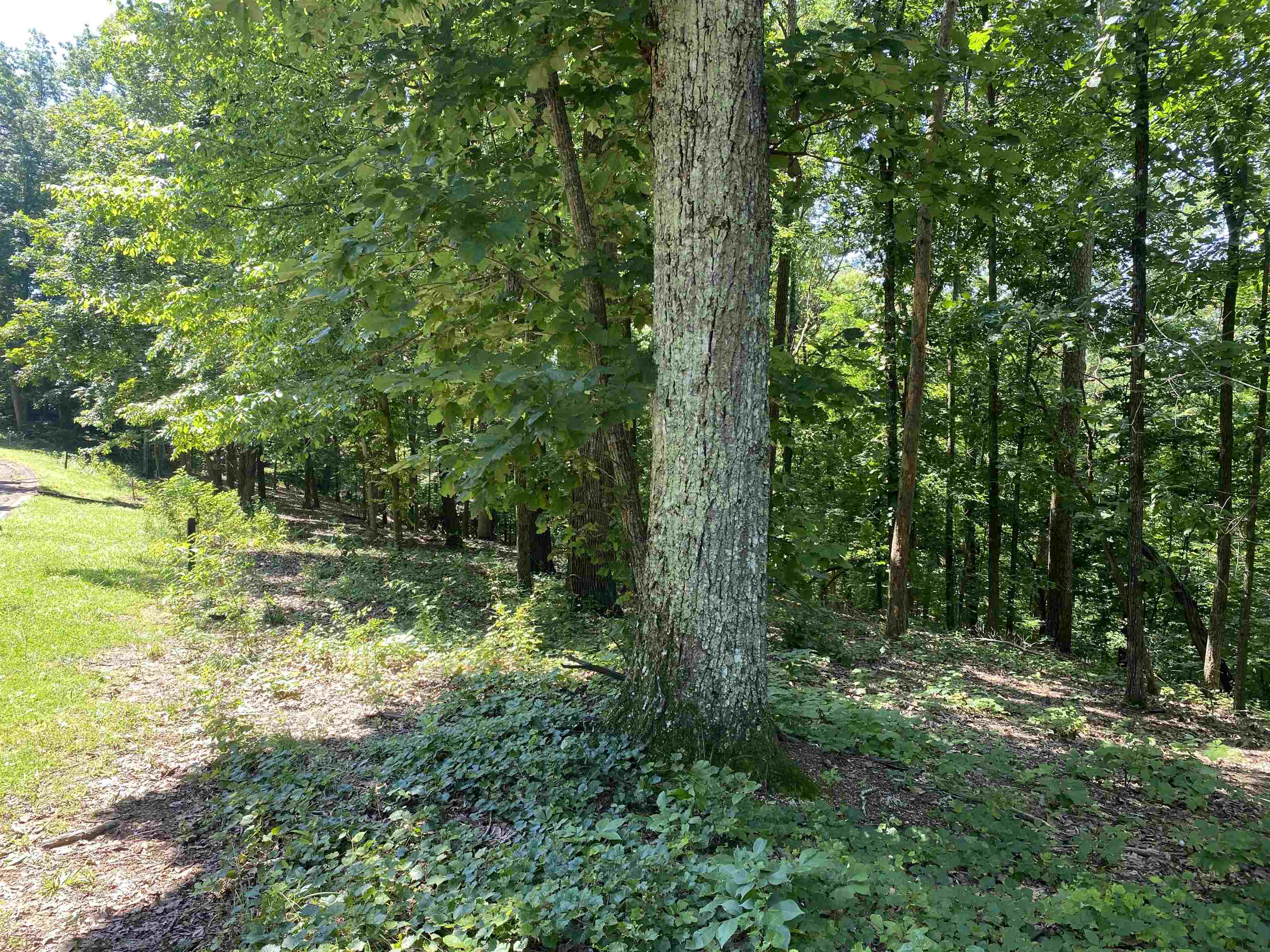 44 Breathtaking Loop Savannah, TN 38372 - Photo 15 of 21