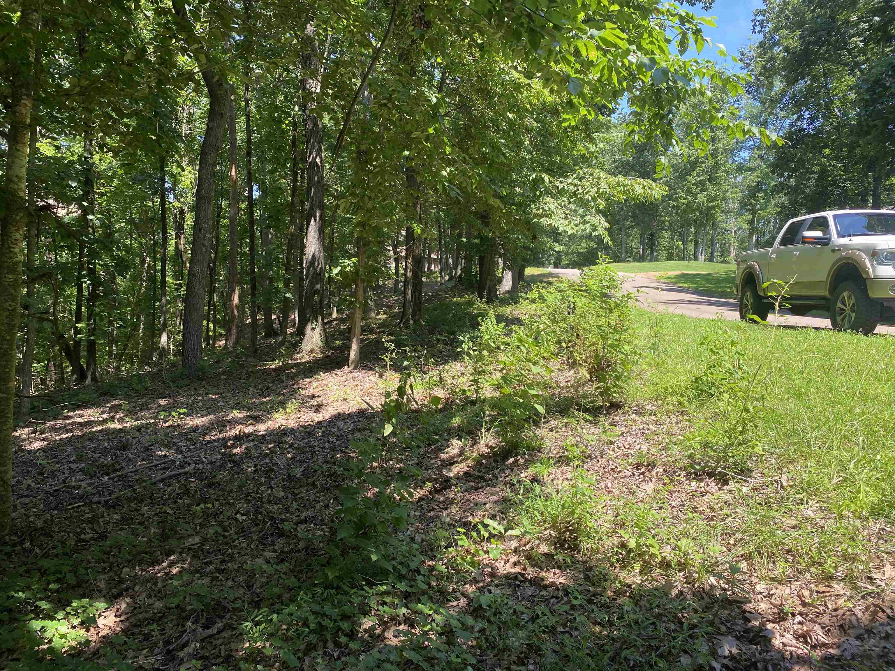 44 Breathtaking Loop Savannah, TN 38372 - Photo 19 of 21