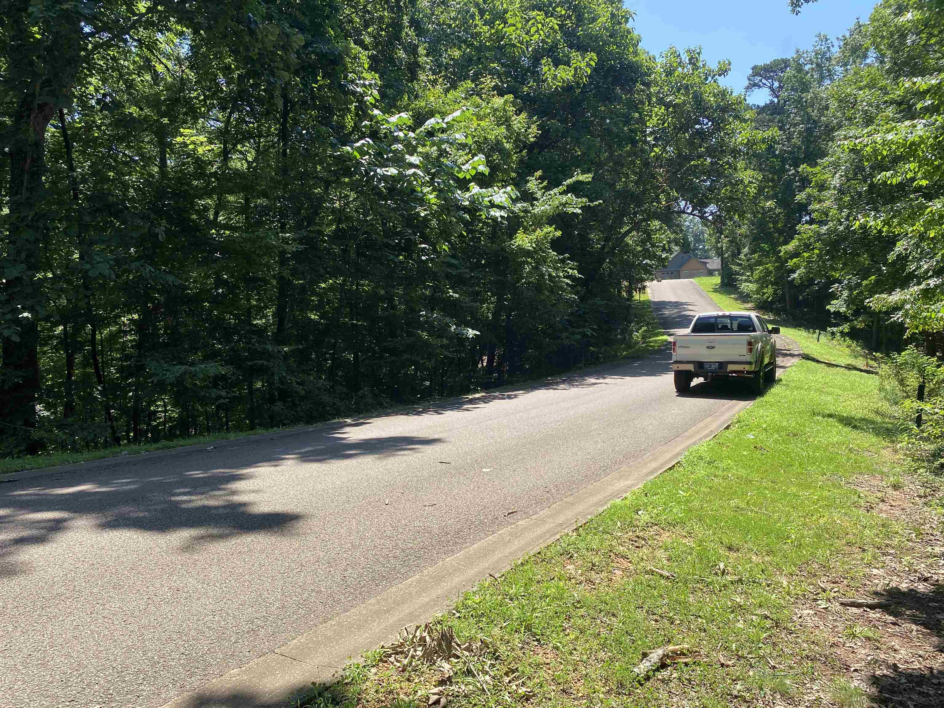 44 Breathtaking Loop Savannah, TN 38372 - Photo 7 of 21