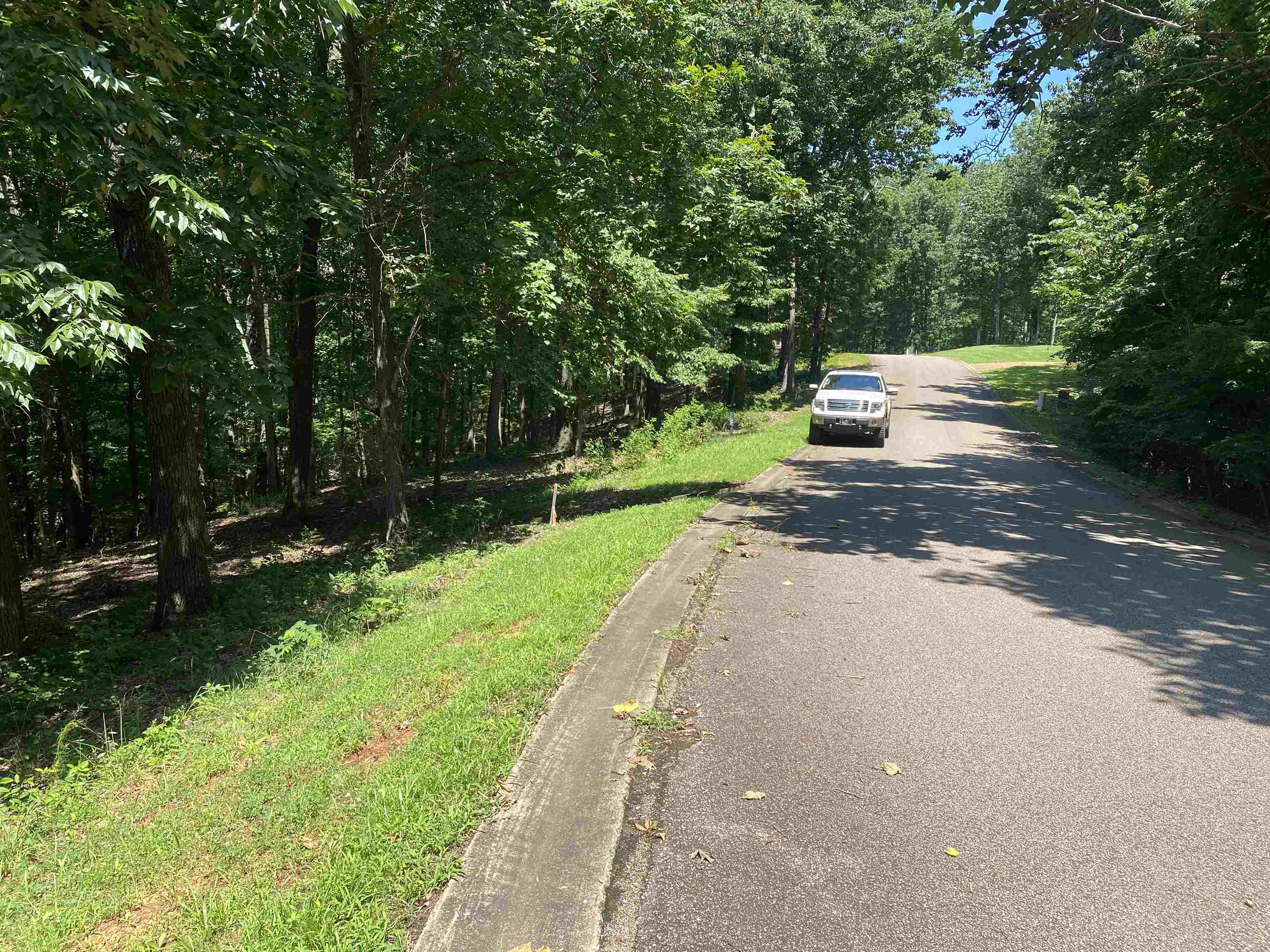 44 Breathtaking Loop Savannah, TN 38372 - Photo 10 of 21