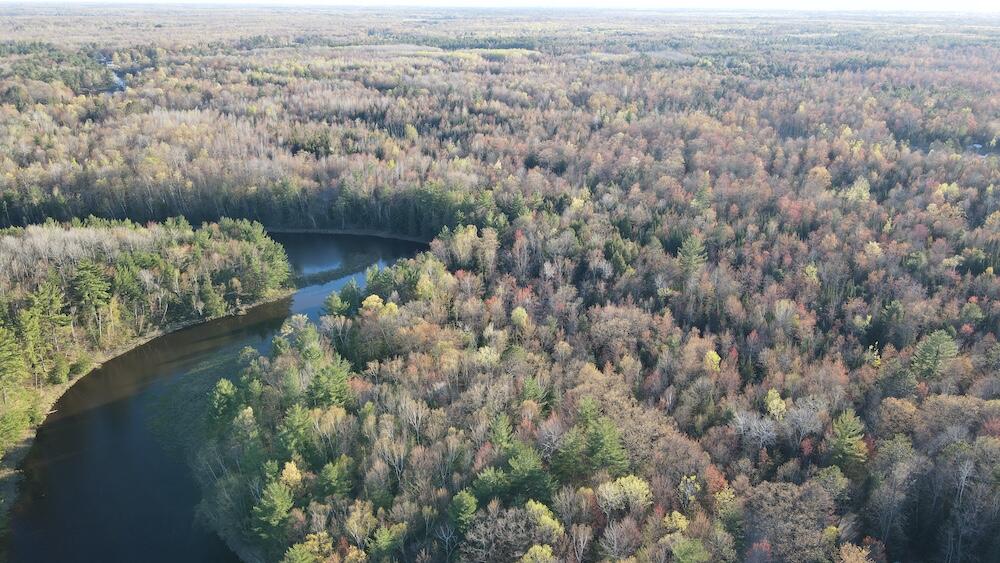 Lot 9 V/l Wildwood Road Alger, MI 48610 - Photo 30 of 40 DJI_0773