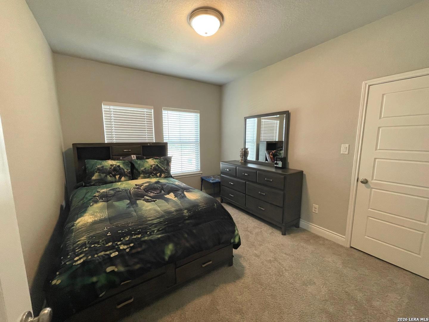 14106 Rio Lobo Way San Antonio, TX 78254 - Photo 13 of 18