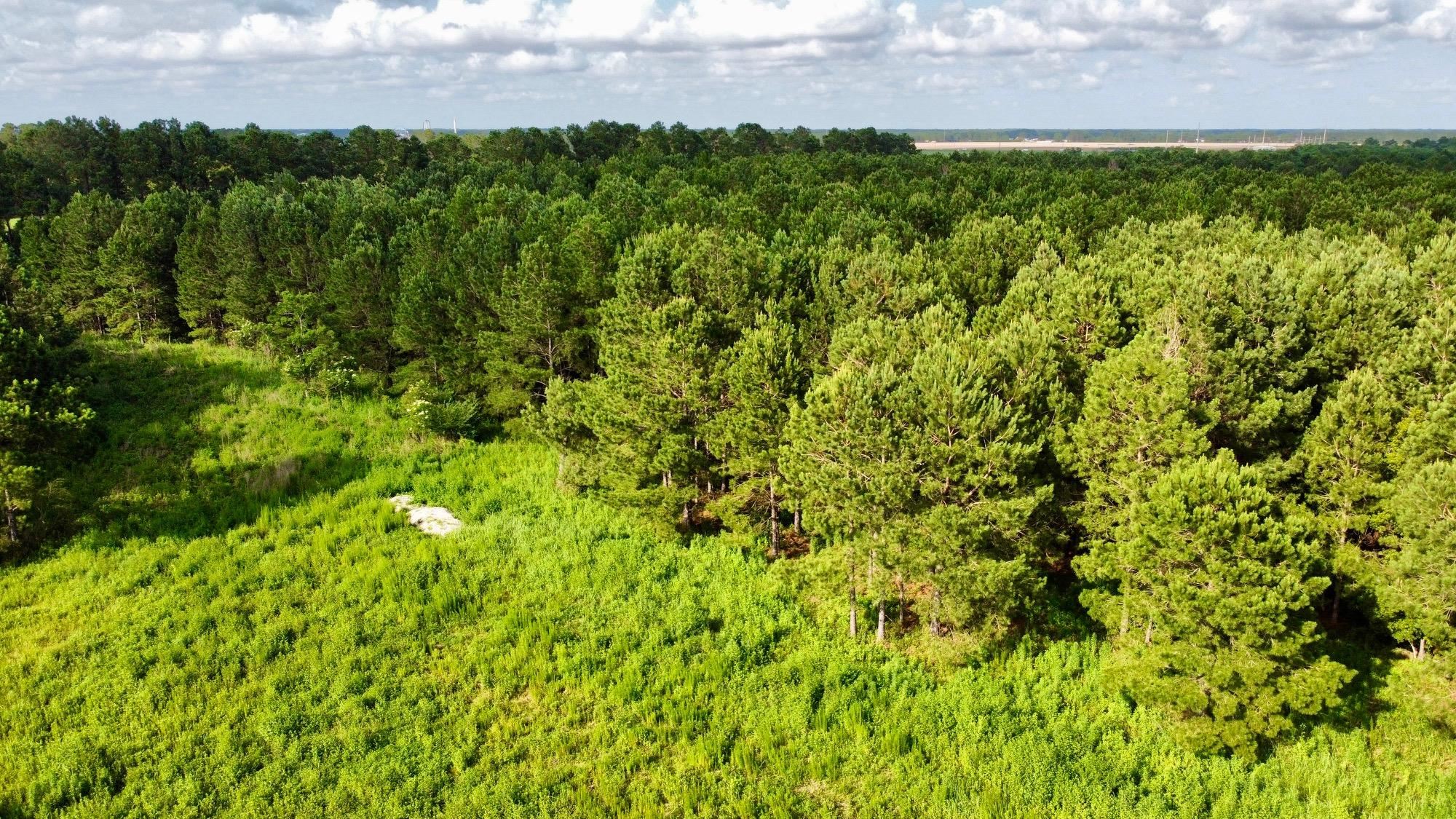 0 James Road Foley, AL 36535 - Photo 1 of 3