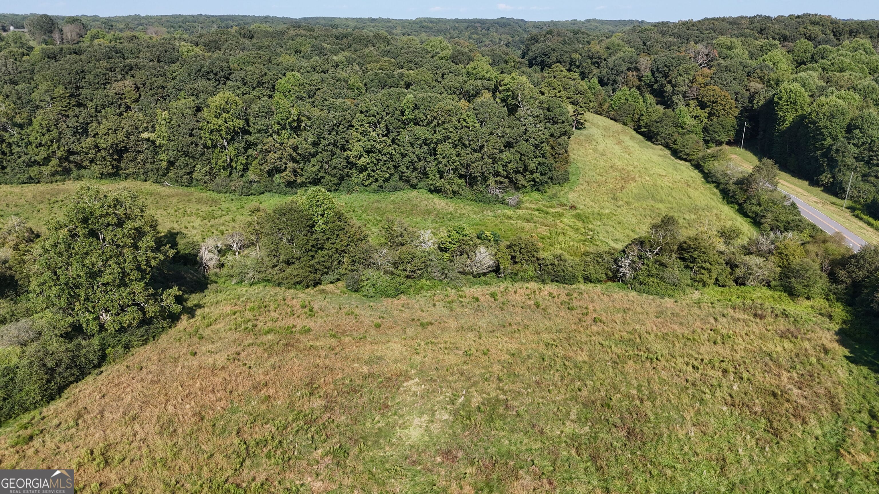 15 West L Williams Road Commerce, GA 30530 - Photo 11 of 41 a view of a yard with a tree