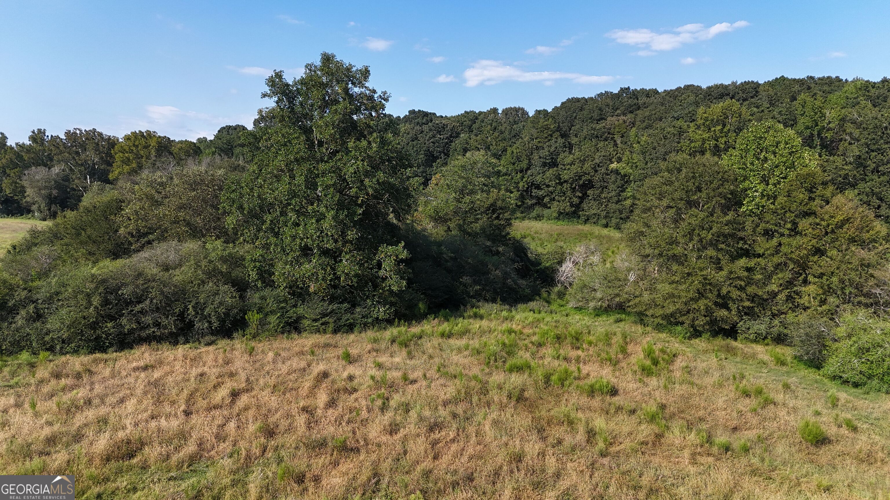 15 West L Williams Road Commerce, GA 30530 - Photo 12 of 41 a view of a yard with mountain view