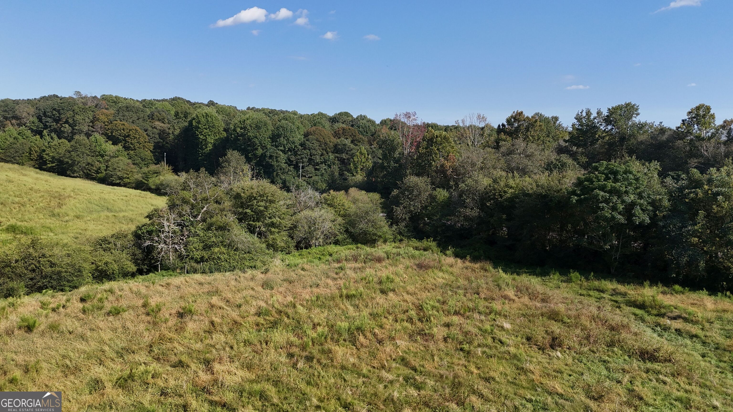 15 West L Williams Road Commerce, GA 30530 - Photo 13 of 41 a view of a yard