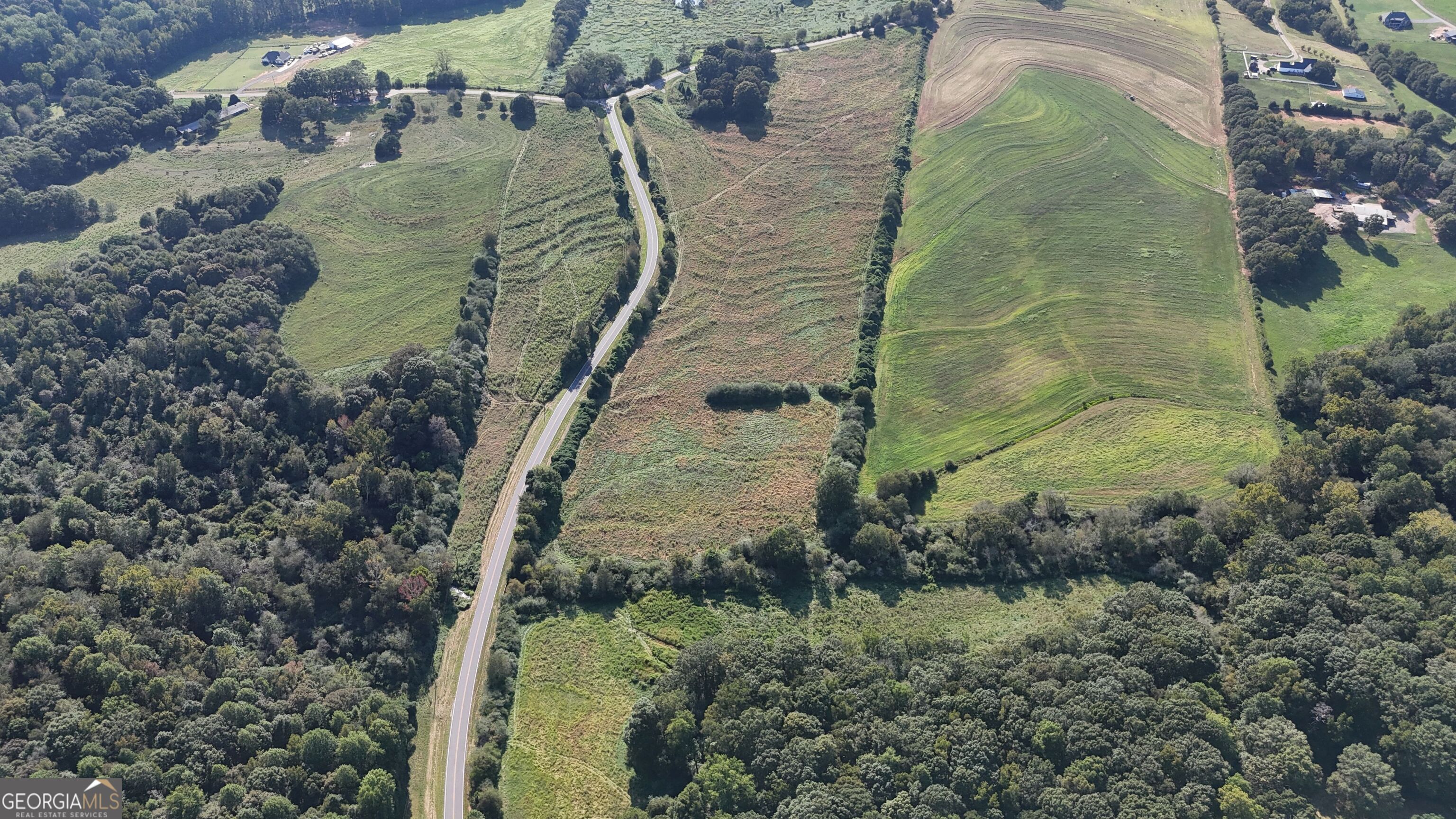 15 West L Williams Road Commerce, GA 30530 - Photo 17 of 41 a view of a yard