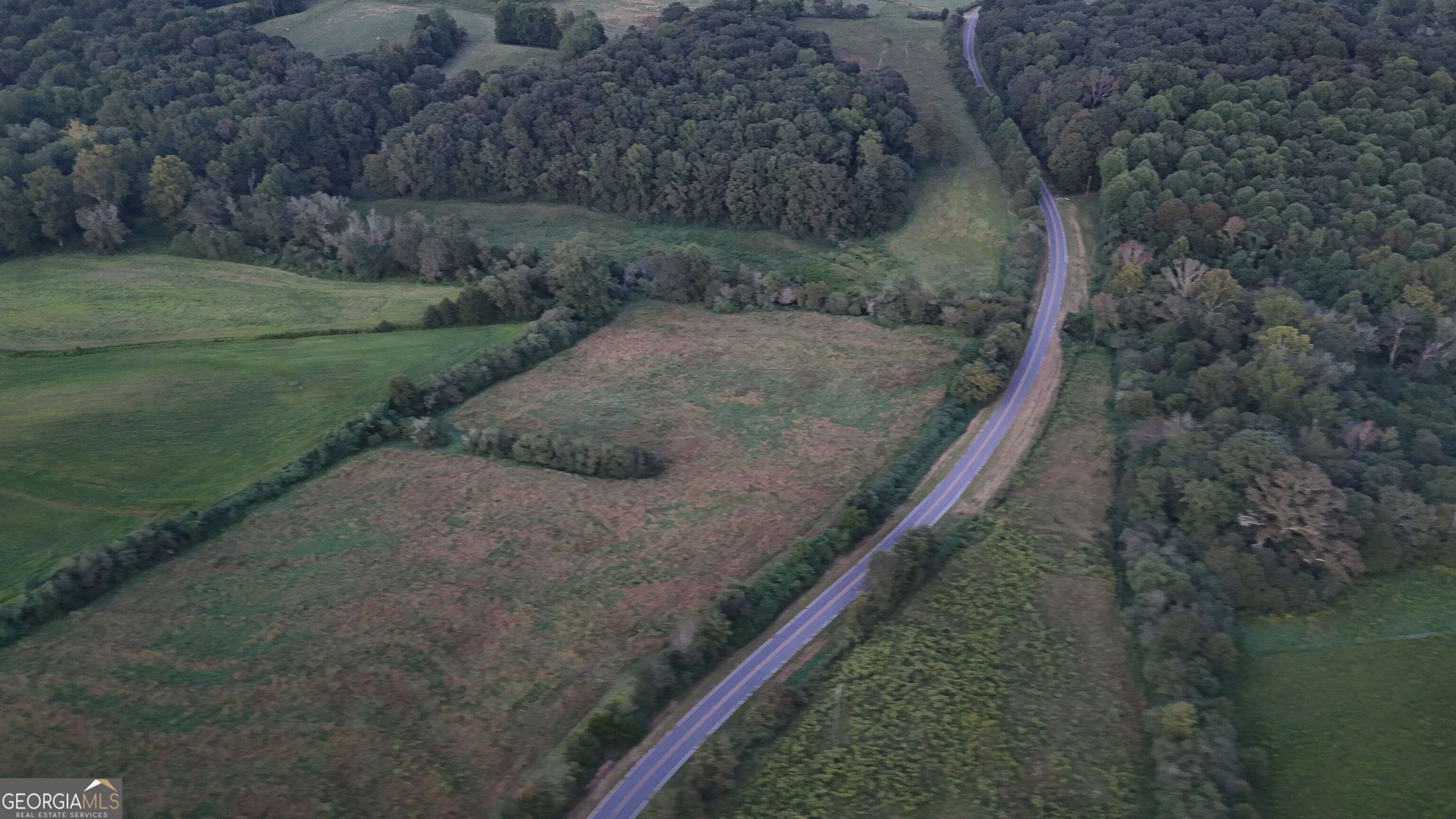 15 West L Williams Road Commerce, GA 30530 - Photo 25 of 41 a view of a dry yard with trees