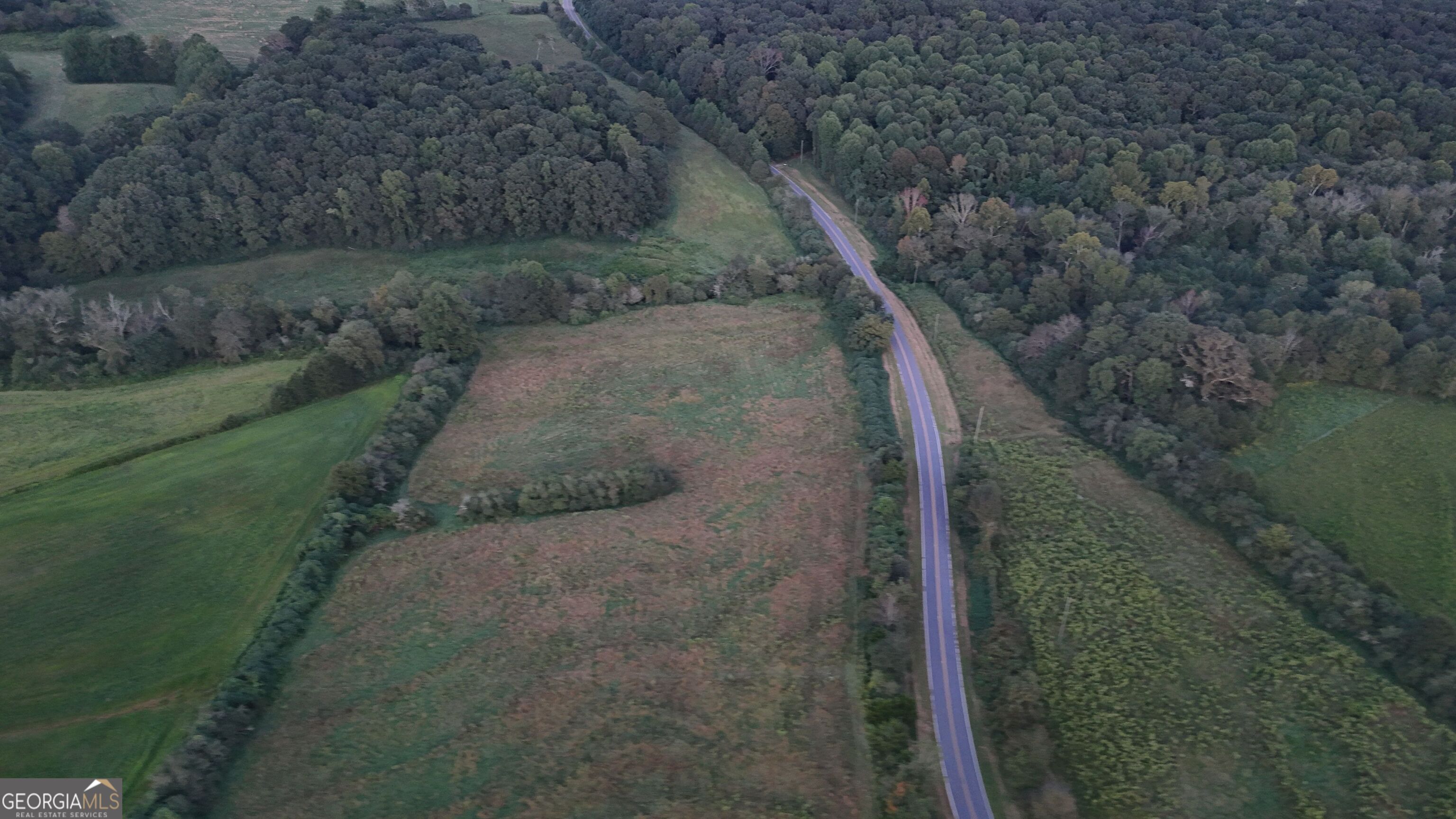 15 West L Williams Road Commerce, GA 30530 - Photo 26 of 41 a view of a yard with a tree