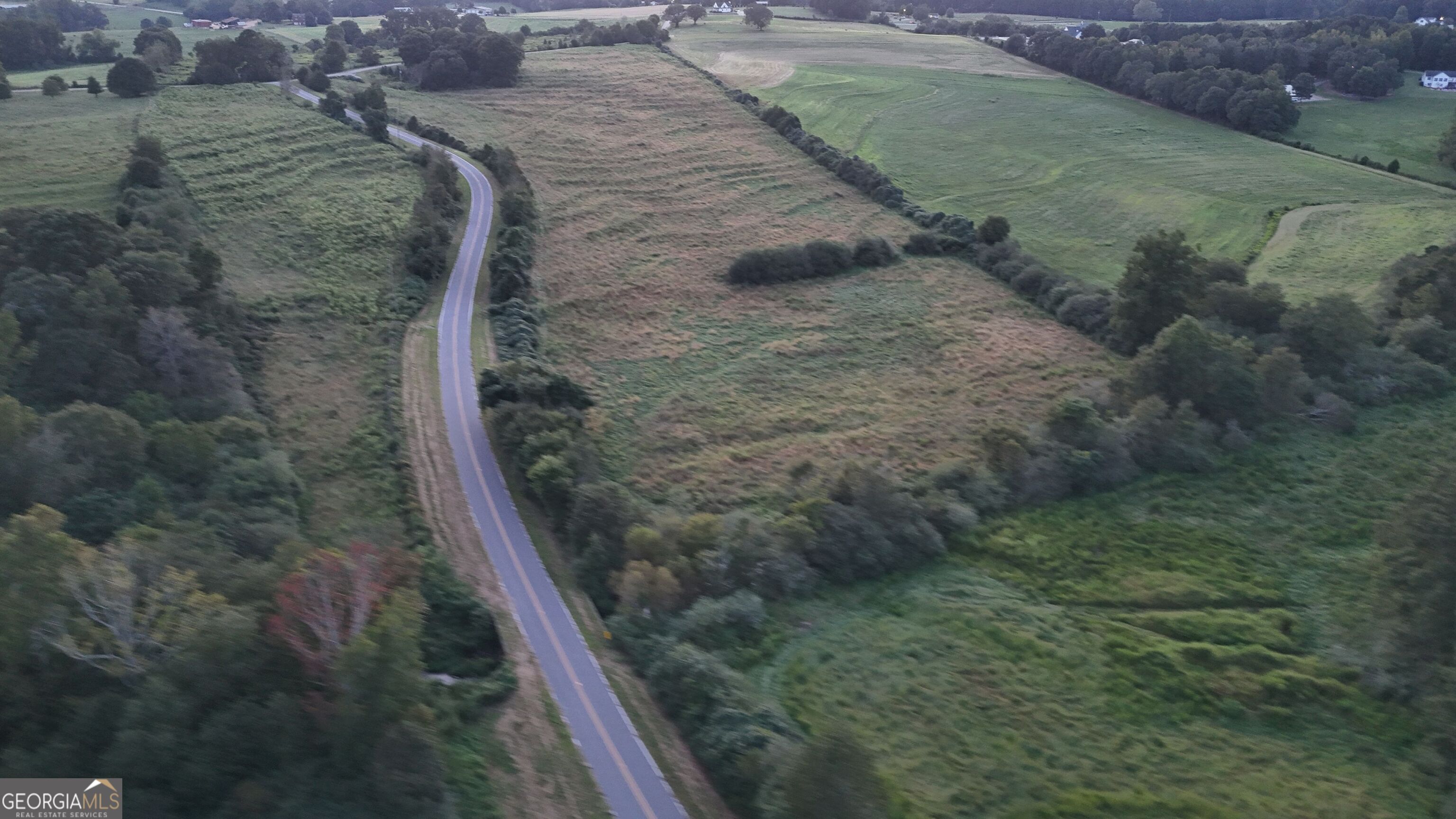 15 West L Williams Road Commerce, GA 30530 - Photo 3 of 41 a view of a dry yard with wooden floor