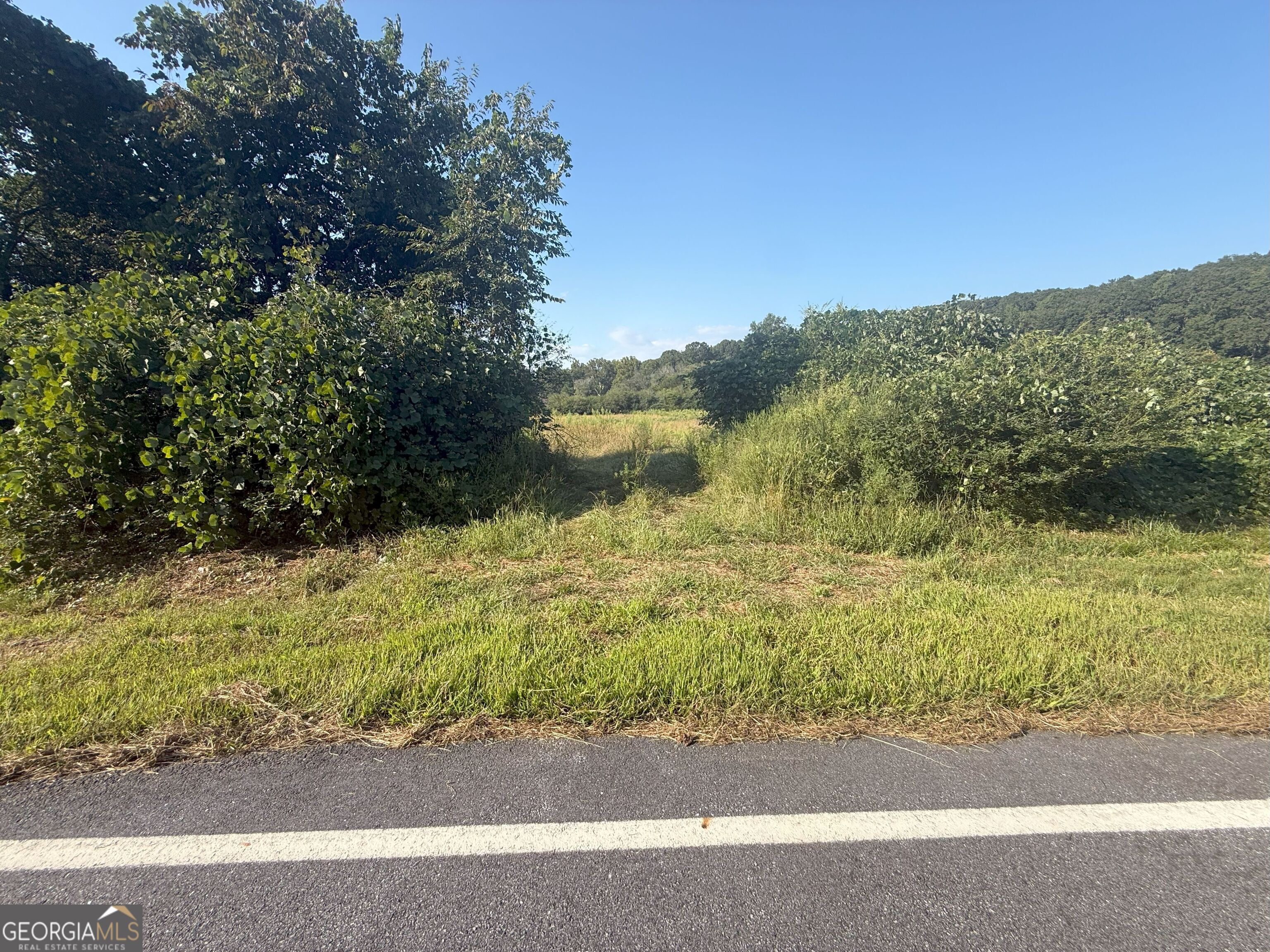 15 West L Williams Road Commerce, GA 30530 - Photo 34 of 41 a view of a yard with a tree
