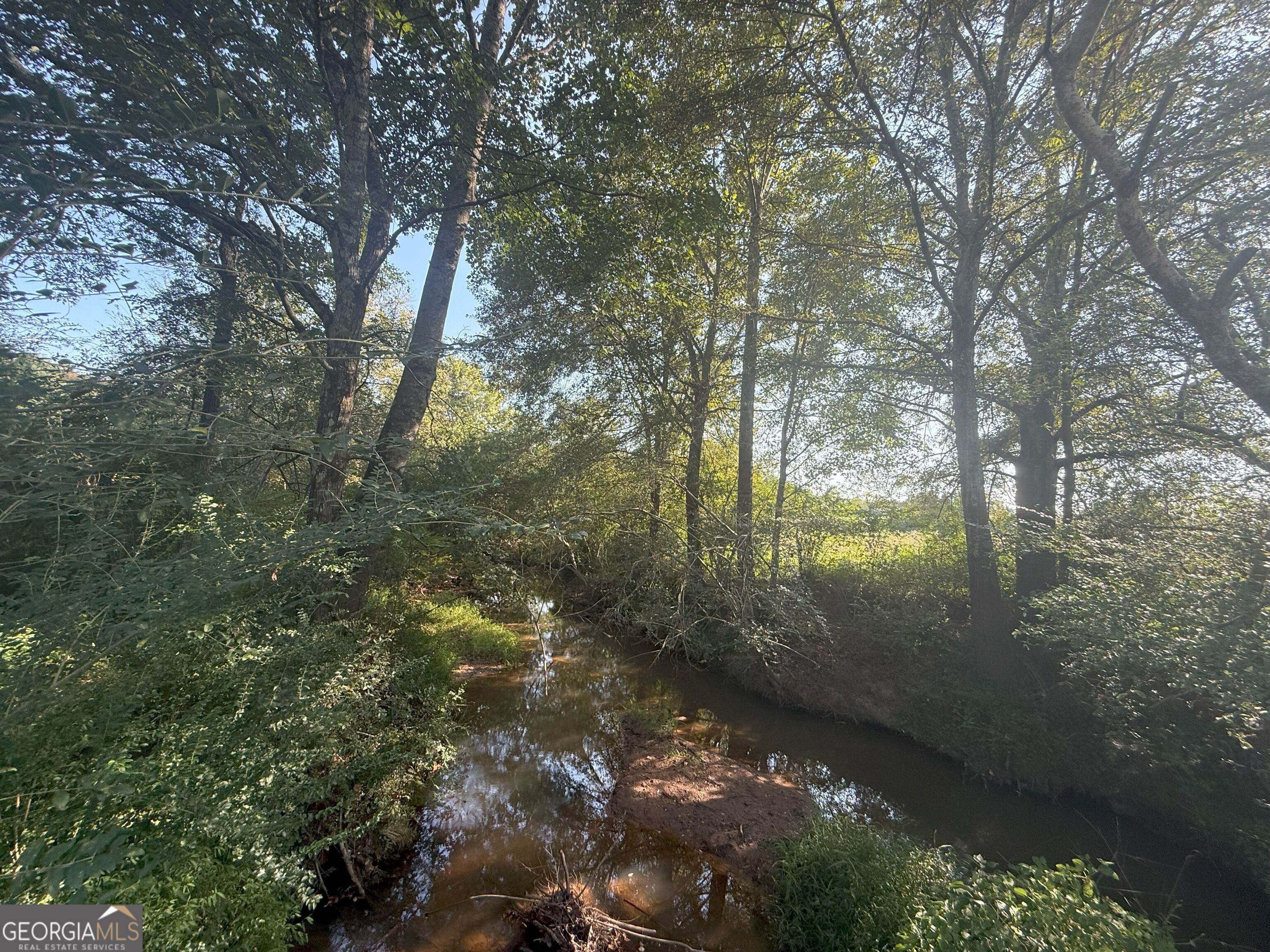15 West L Williams Road Commerce, GA 30530 - Photo 35 of 41 a view of a lake from a yard