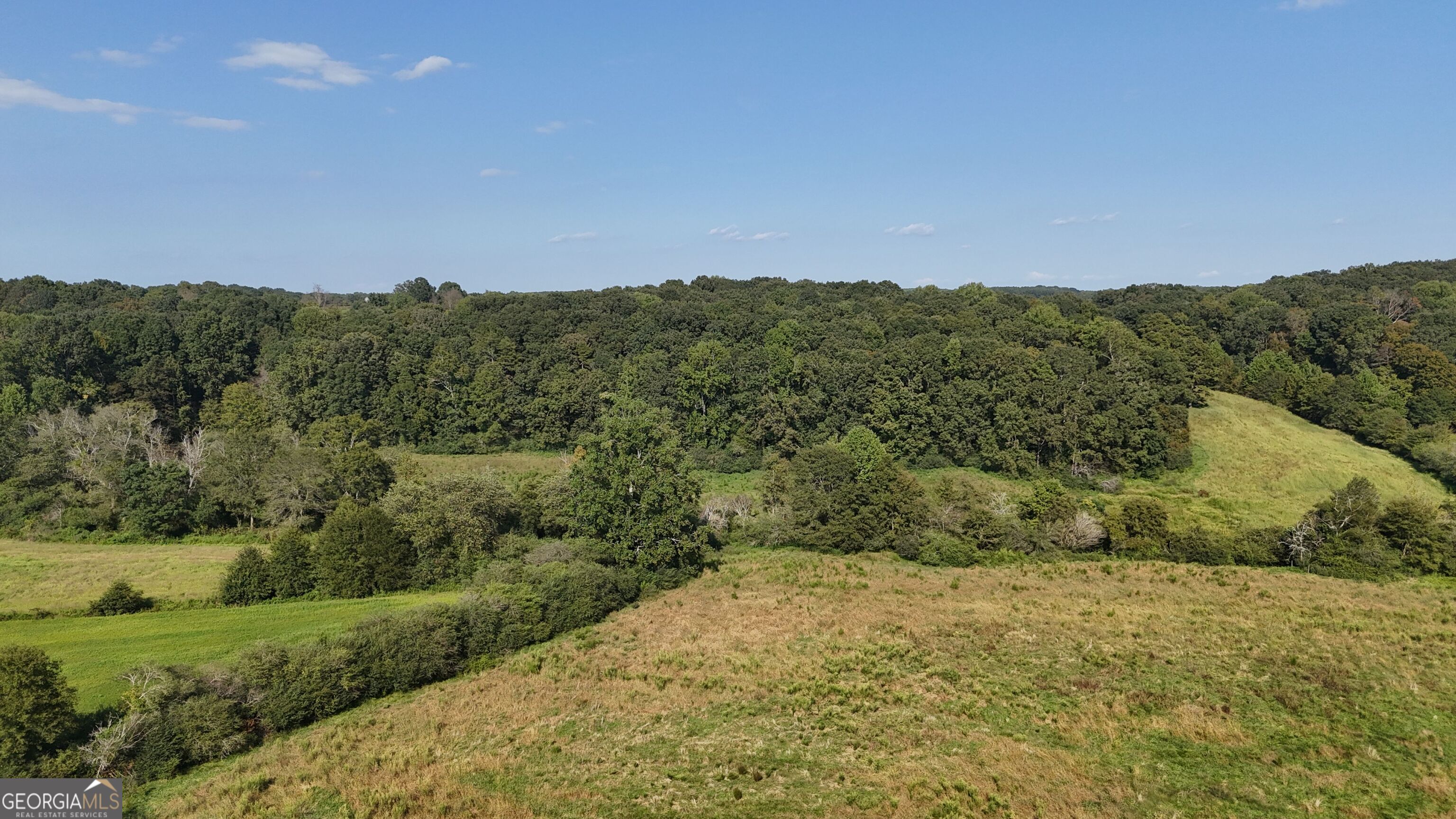15 West L Williams Road Commerce, GA 30530 - Photo 7 of 41 a view of a yard with a mountain
