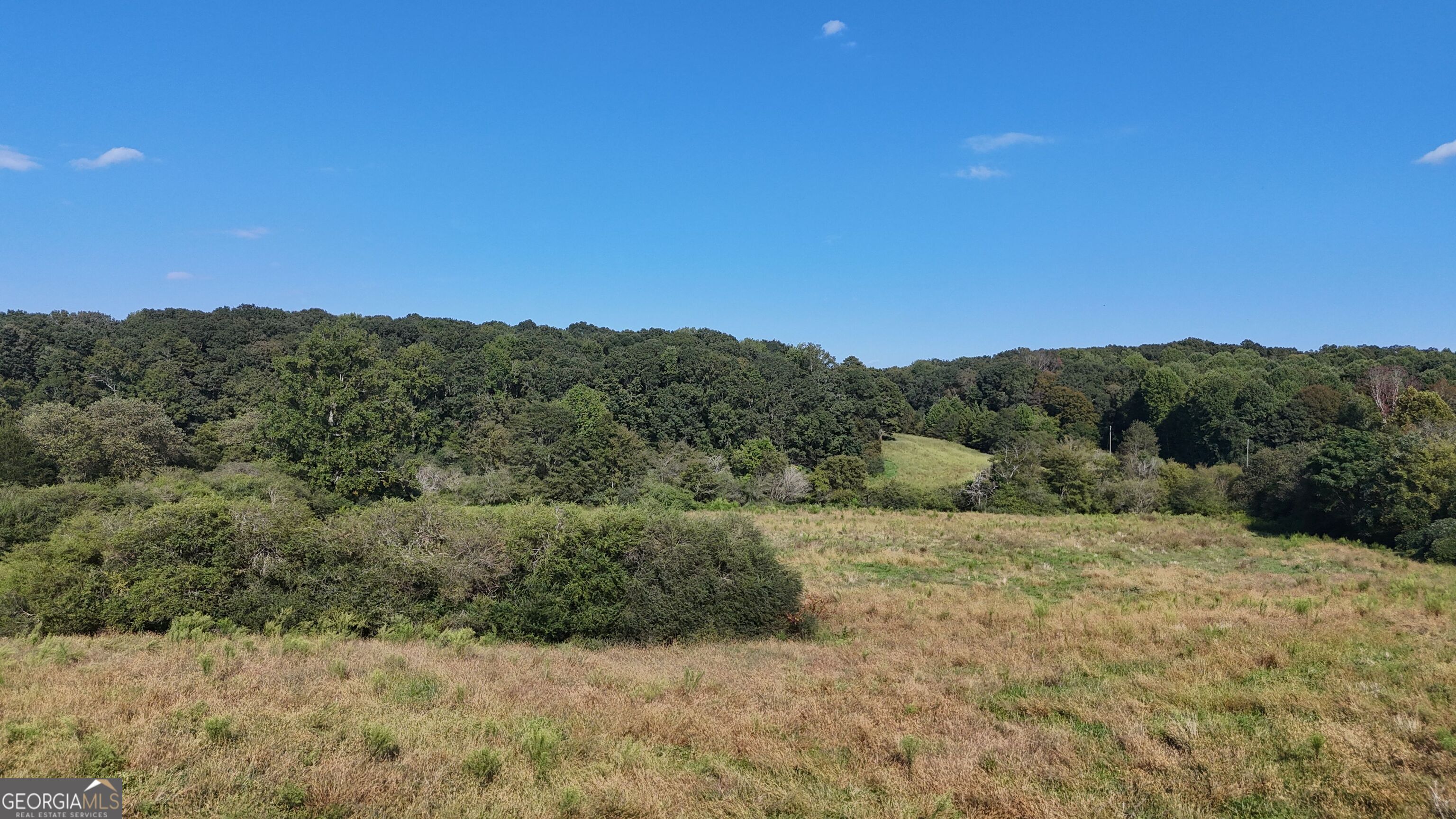 15 West L Williams Road Commerce, GA 30530 - Photo 9 of 41 a view of a dry yard with large trees