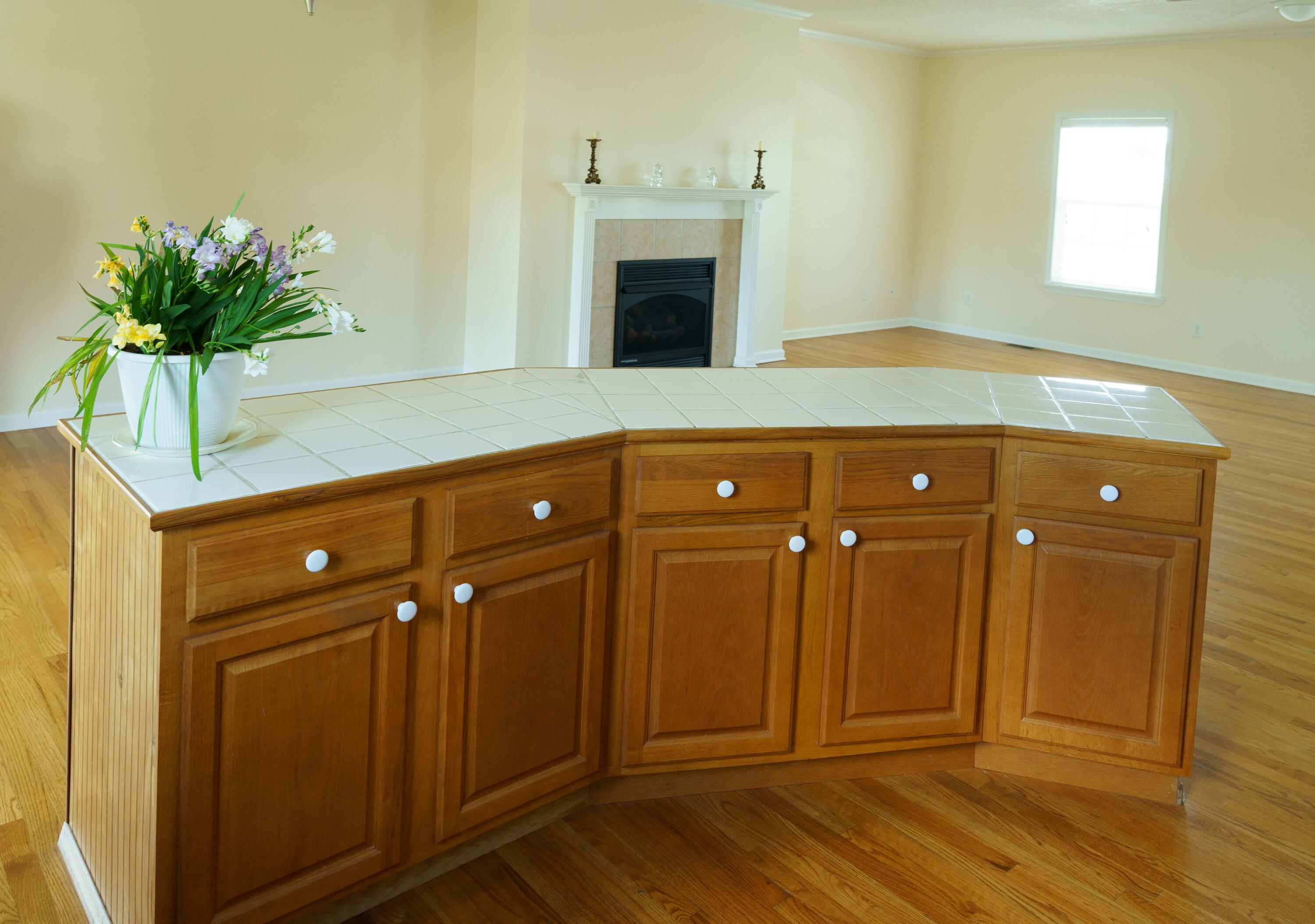 67 Sand Ridge Circle Jonesborough, TN 37659 - Photo 18 of 41 Pamela Pope-36