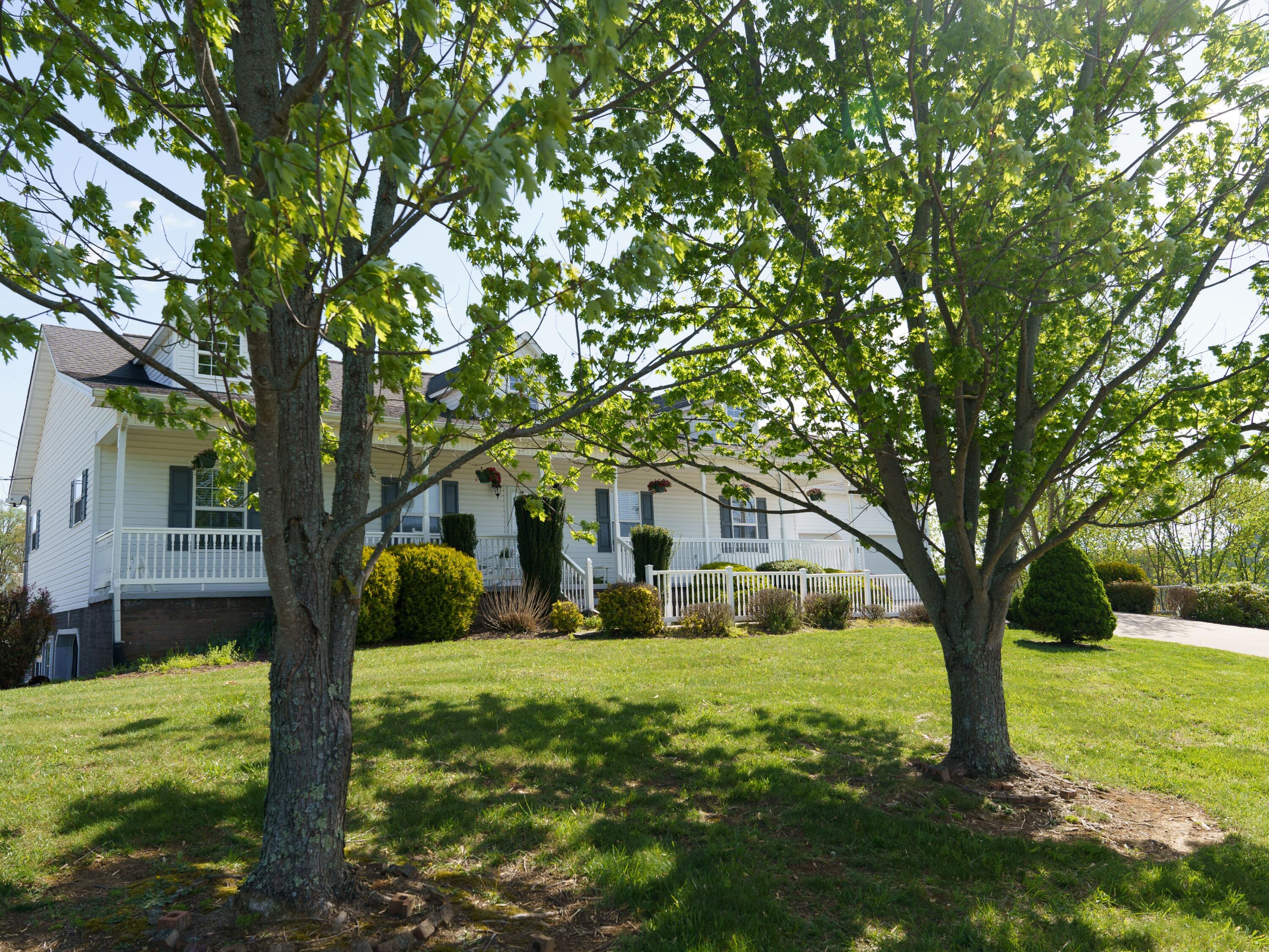 67 Sand Ridge Circle Jonesborough, TN 37659 - Photo 3 of 41 Pamela Pope-4