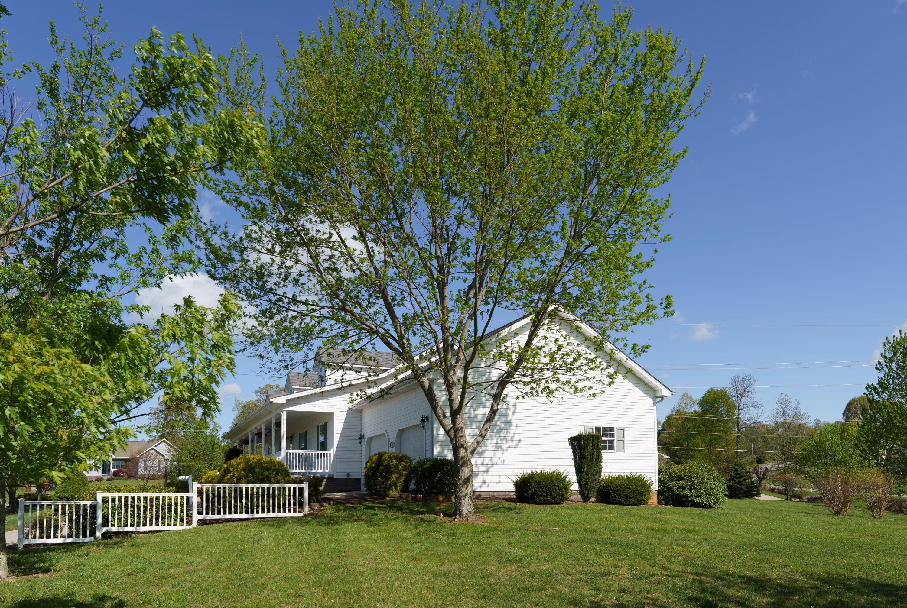 67 Sand Ridge Circle Jonesborough, TN 37659 - Photo 8 of 41 Pamela Pope-9