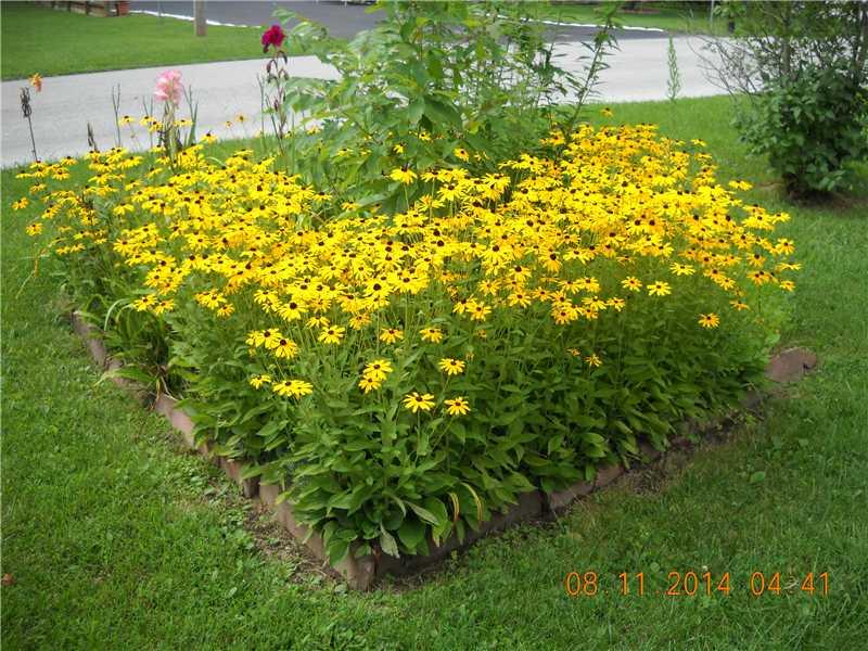 368 Lazy River Road Cloverdale, IN 46120 - Photo 14 of 14 Gallery Image 14