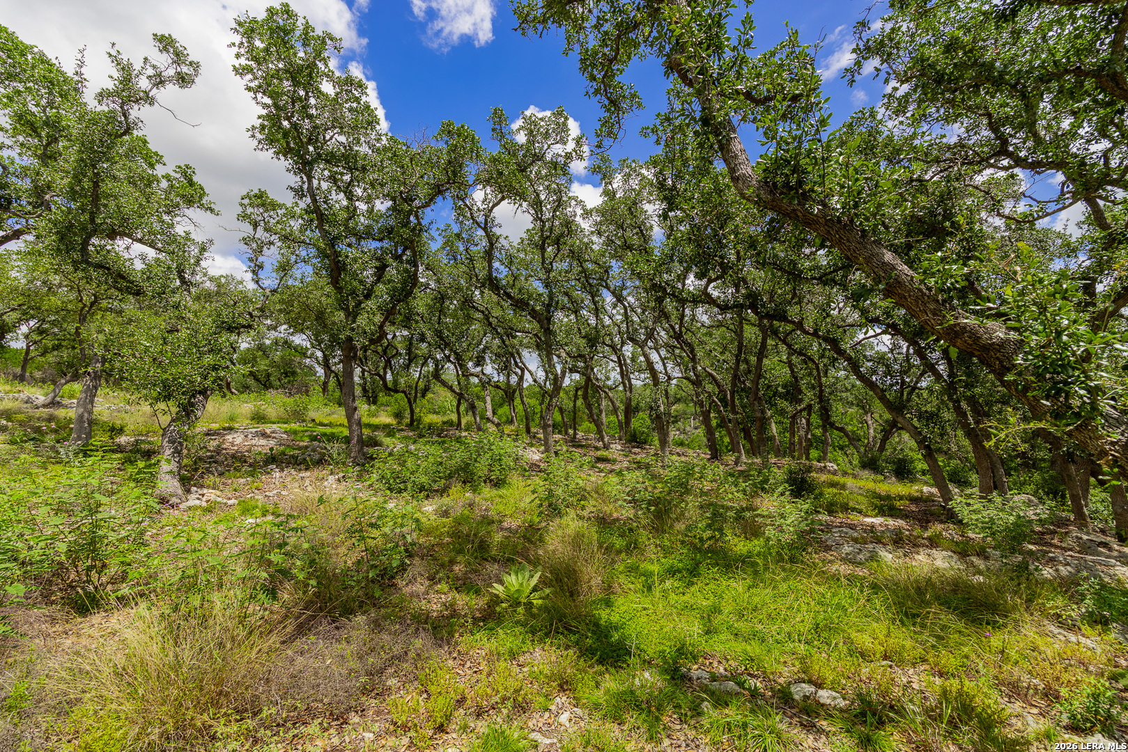 7 Hidden Springs Spring Branch, TX 78070 - Photo 26 of 44 Gallery Image 26