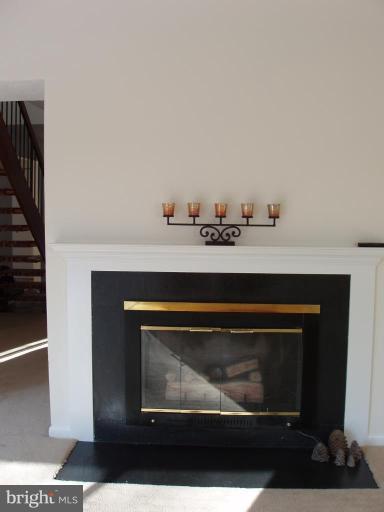 11301 Harborside Cluster Reston, VA 20191 - Photo 14 of 17 Fireplace