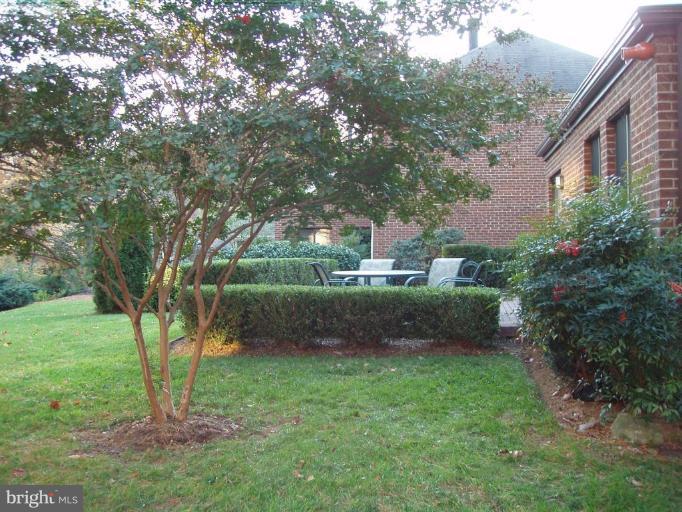 11301 Harborside Cluster Reston, VA 20191 - Photo 3 of 17 BRICK PATIO ,COMMON AREA AND LAKE THOREAU
