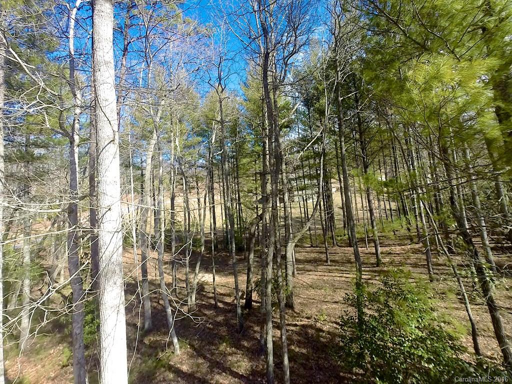 Lot 35 Jake Ridge Trail Fletcher, NC 28732 - Photo 2 of 24