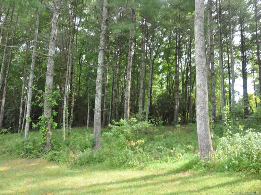 Lot 35 Jake Ridge Trail Fletcher, NC 28732 - Photo 14 of 24 a view of lush green forest