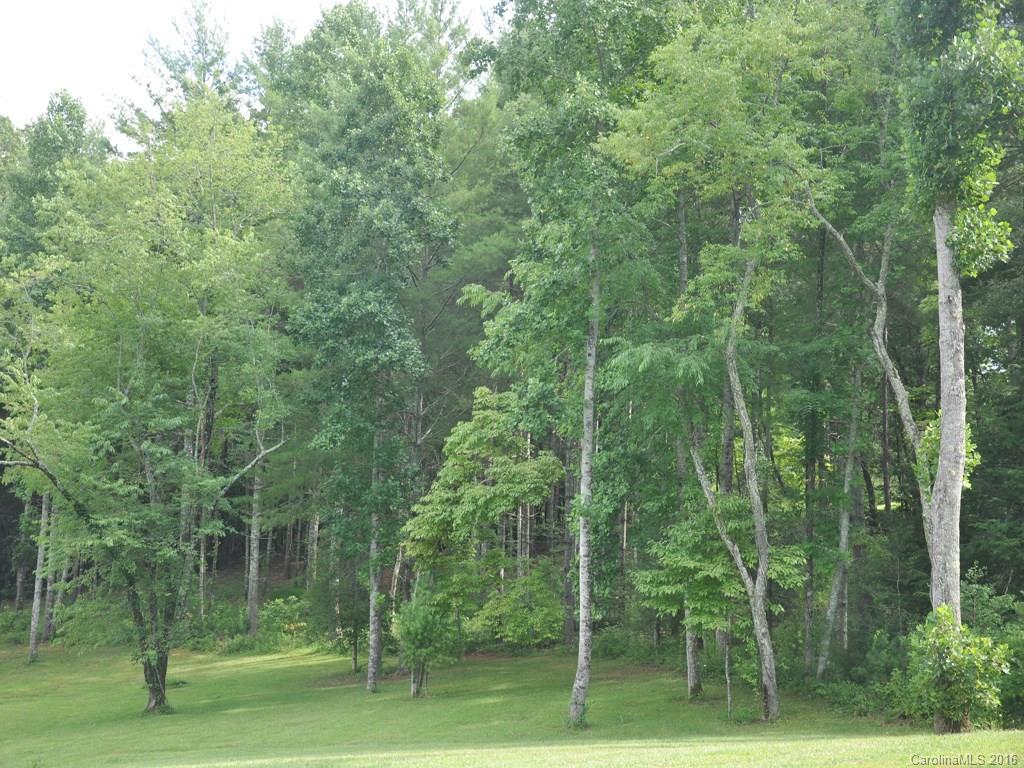 Lot 35 Jake Ridge Trail Fletcher, NC 28732 - Photo 15 of 24 a view of a forest