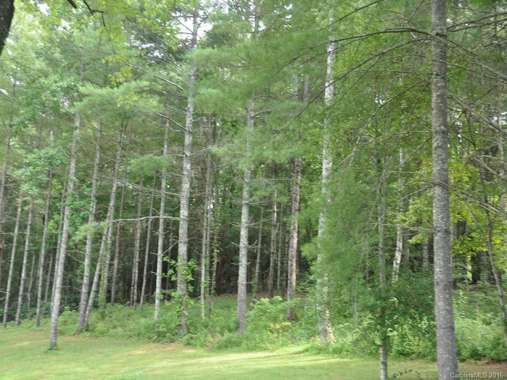 Lot 35 Jake Ridge Trail Fletcher, NC 28732 - Photo 17 of 24 a view of a garden