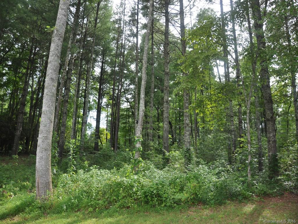 Lot 35 Jake Ridge Trail Fletcher, NC 28732 - Photo 18 of 24 a view of a forest with trees