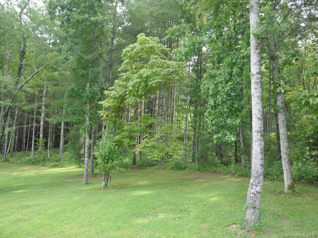 Lot 35 Jake Ridge Trail Fletcher, NC 28732 - Photo 20 of 24 a view of a park