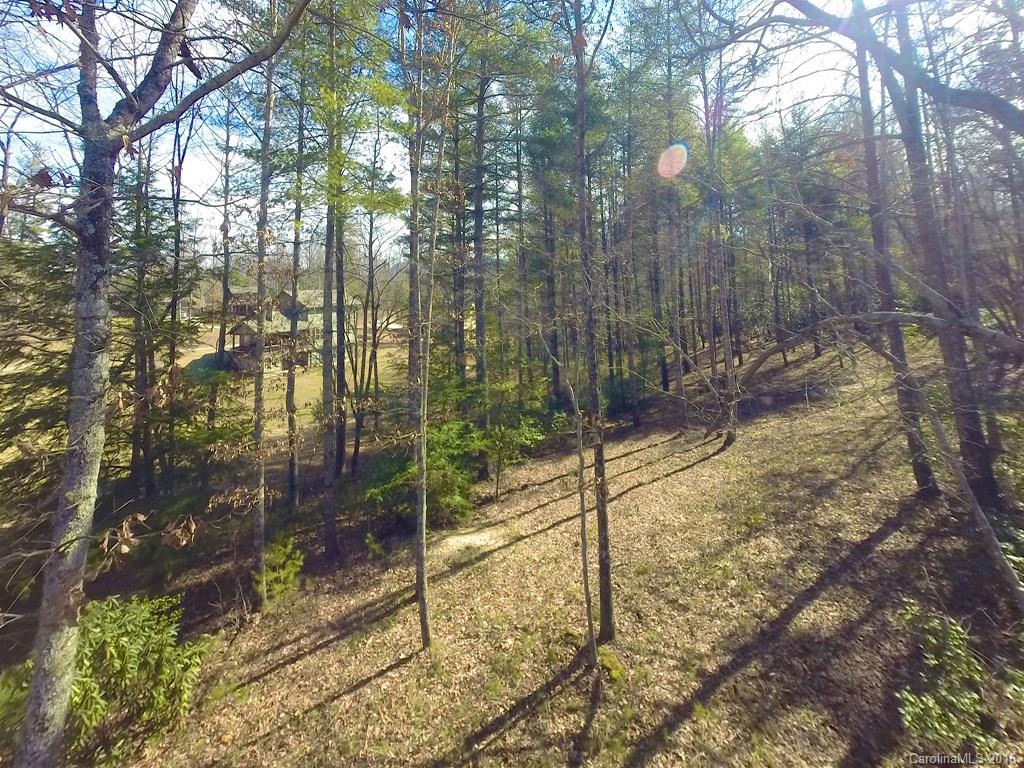 Lot 35 Jake Ridge Trail Fletcher, NC 28732 - Photo 3 of 24 a view of a forest