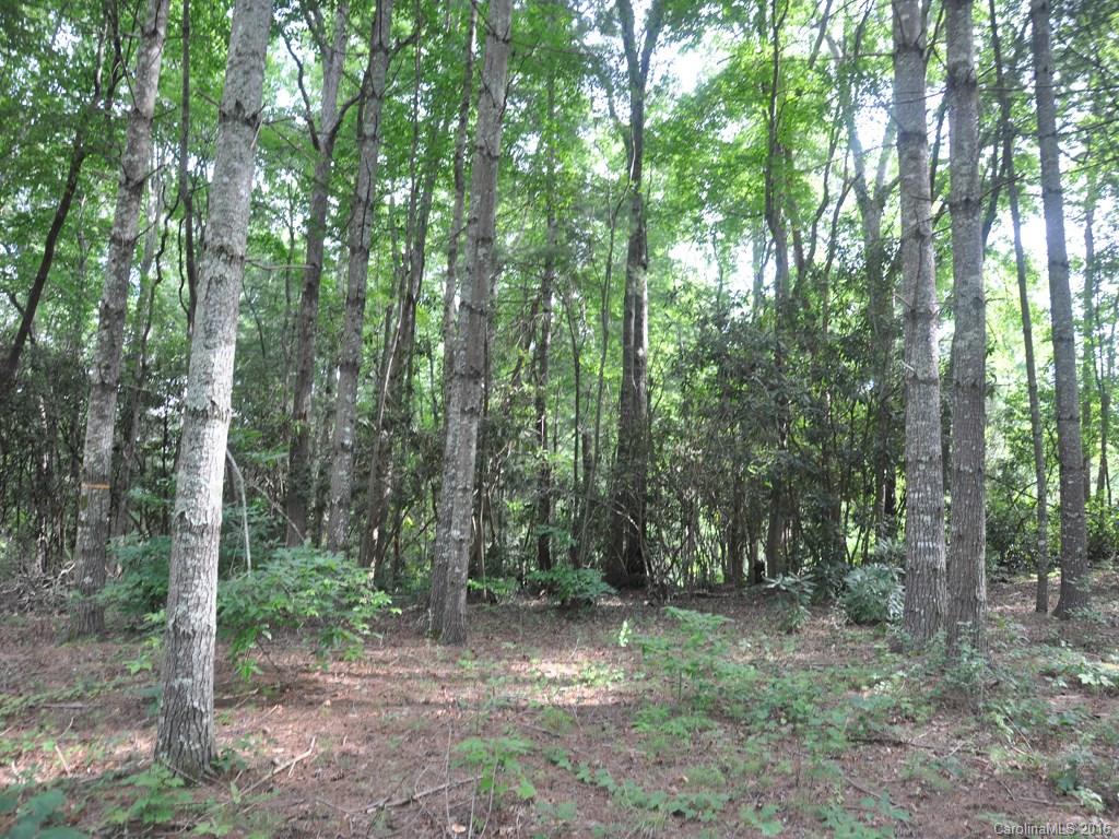 Lot 35 Jake Ridge Trail Fletcher, NC 28732 - Photo 21 of 24 a view of a forest