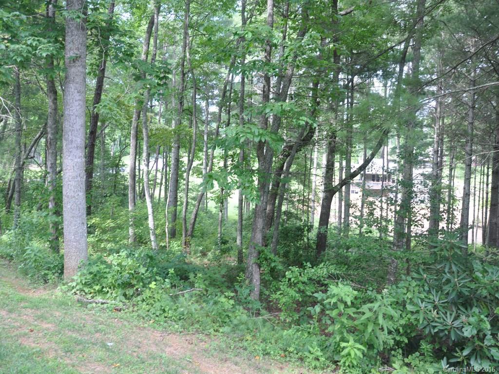 Lot 35 Jake Ridge Trail Fletcher, NC 28732 - Photo 23 of 24 a view of outdoor space and green space