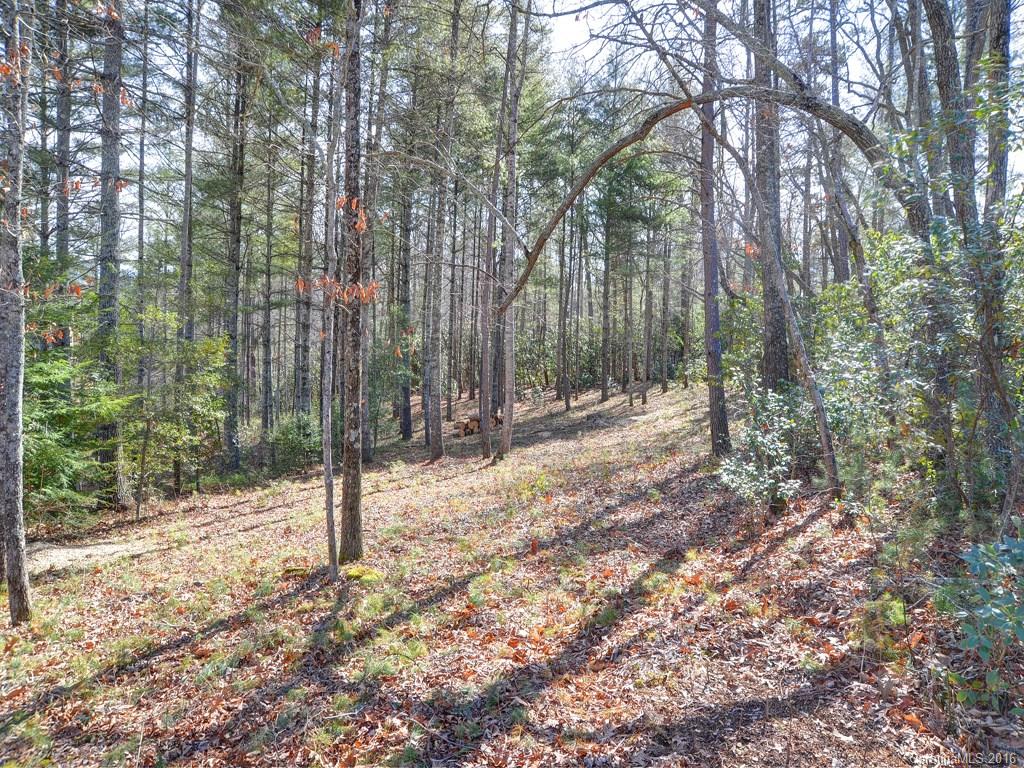 Lot 35 Jake Ridge Trail Fletcher, NC 28732 - Photo 4 of 24 a backyard of a house with lots of trees