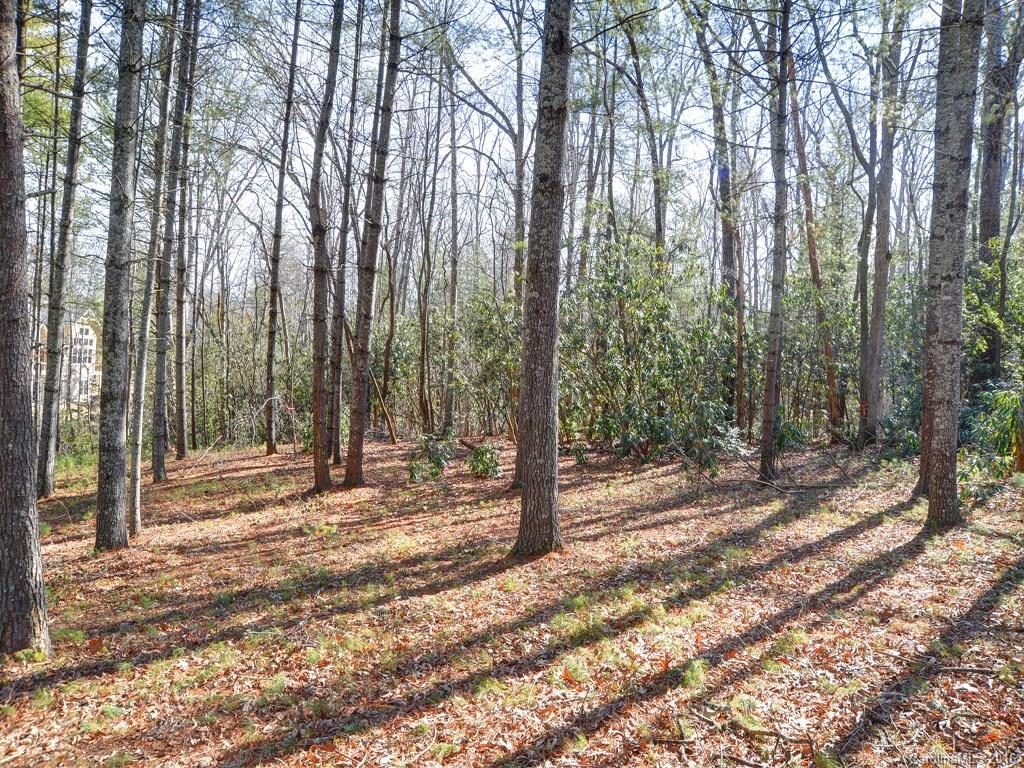 Lot 35 Jake Ridge Trail Fletcher, NC 28732 - Photo 5 of 24 a view of a backyard with trees